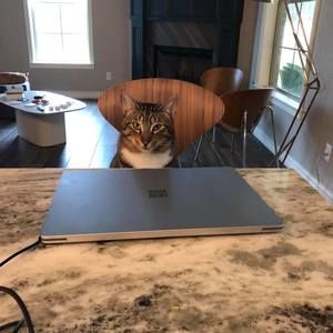 Meet your Posher, Beth